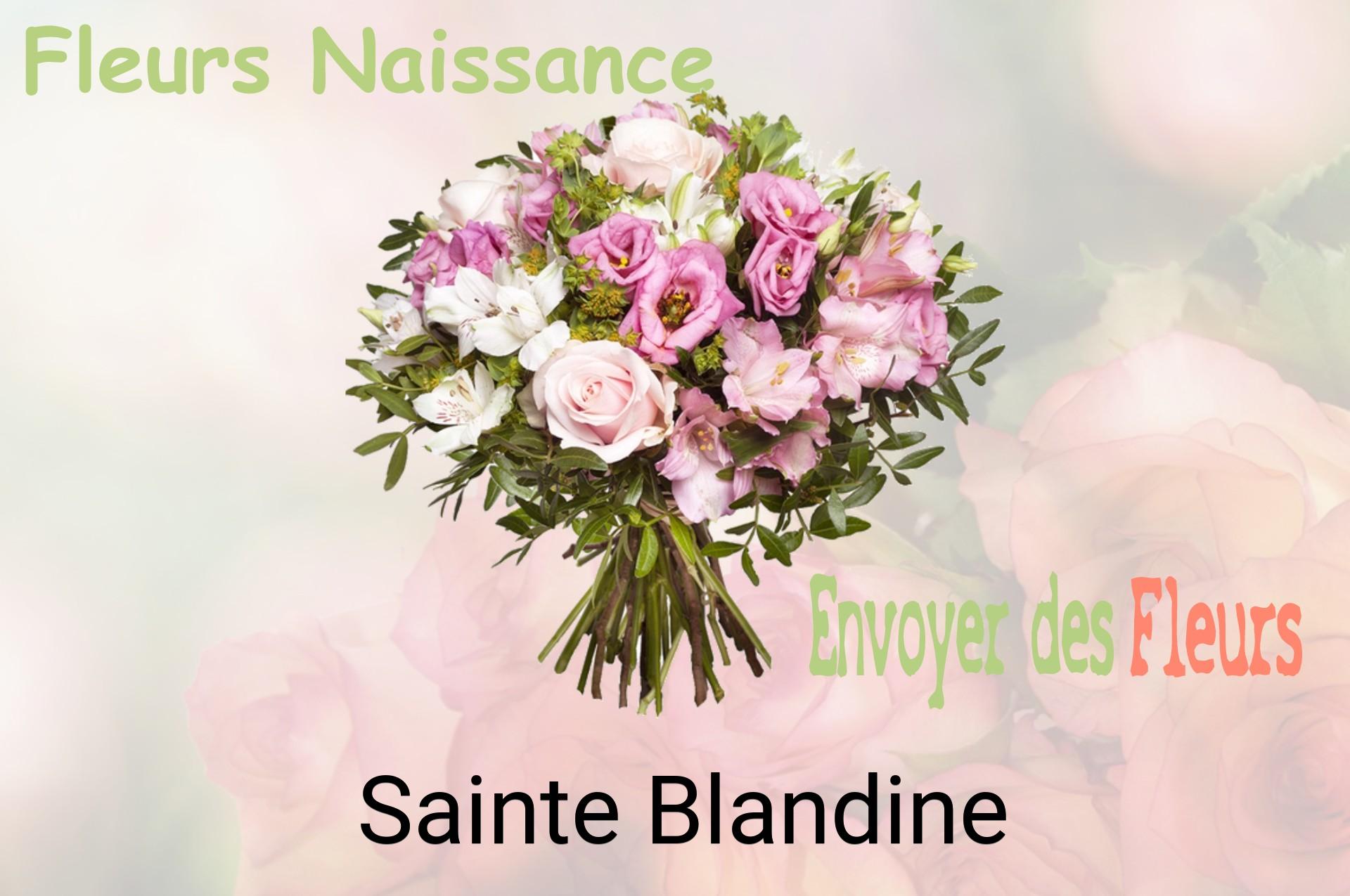 Bouquet de fleurs de naissance livré à Sainte-Blandine